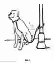 Fig. 02 - LOCKING PET LEAD SYSTEM COMPRISING A LEASH AND COLLAR TO PREVENT THE THEFT OF PETS