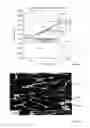 Fig. 02 - Method for producing a component and components of a titanium-aluminum base alloy
