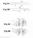 Fig. 07 - Stamping-laminating apparatus and method
