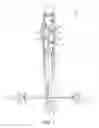 Fig. 02 - Apparatus for rotary mining