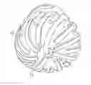 Fig. 01 - Impregnated rotary bit