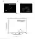 Fig. 05 - LIGHT EMITTING MATERIAL