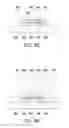 Fig. 07 - Light emitting package structure