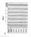 Fig. 06 - MANUFACTURING METHOD OF WAVELENGTH CONVERSION ELEMENT, WAVELENGTH CONVERSION ELEMENT, AND LIGHT EMITTING DEVICE