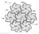 Fig. 01 - Extendable network structure