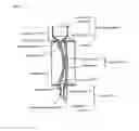 Fig. 02 - MANUFACTURING METHOD AND MANUFACTURING APPARATUS OF PLASTIC LENS