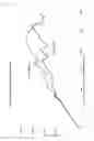 Fig. 12 - Impact absorbing structural body, shell type frame member and seat structure