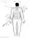 Fig. 04 - System including wearable power receiver and wearable power-output device