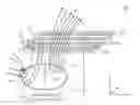 Fig. 01 - ANTENNA DEVICE, TRANSPONDER READER, INDUCTION COOKER