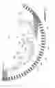 Fig. 10 - Multi-path liquid cooling arrangement for electric machines