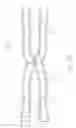 Fig. 74 - FLUID DISTRIBUTION SYSTEM FOR PRIMING PRINTHEAD