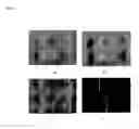 Fig. 04 - Surface Scanning System
