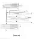 Fig. 06 - Digital image acquisition control and correction method and apparatus