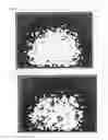 Fig. 04 - PROJECTION DISPLAY DEVICE