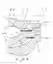 Fig. 01 - Optical lens and lens unit using the same