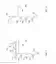 Fig. 02 - Wordline driver for memory