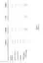 Fig. 06 - Compression of baseband signals in base transceiver systems