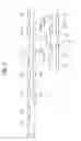 Fig. 06 - Data transmission system capable of transmitting interrupt signal without interrupt gate period