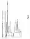 Fig. 06 - Method for determining paths of particle beams through 3D tissue volumes
