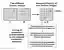 Fig. 01 - SYSTEMS AND METHODS FOR GENETIC IMAGING