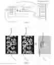 Fig. 07 - Method and system for quickly identifying circuit components in an emission image