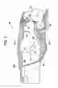 Fig. 03 - Image forming device having a plurality of image forming modes
