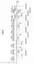 Fig. 07 - Image forming device having a plurality of image forming modes