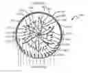 Fig. 01 - Wind turbine utilizing wind directing slats