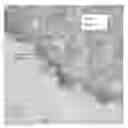 Fig. 01 - Catalysts, activating agents, support media, and related methodologies useful for making catalyst systems especially when the catalyst is deposited onto the support media using physical vapor deposition