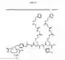 Fig. 08 - Methods and compositions for F-18 labeling of proteins, peptides and other molecules