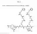 Fig. 09 - Methods and compositions for F-18 labeling of proteins, peptides and other molecules