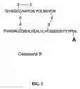 Fig. 03 - Linkers For Radiopharmaceutical Compounds