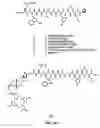 Fig. 09 - Linkers For Radiopharmaceutical Compounds