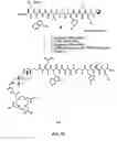 Fig. 11 - Linkers For Radiopharmaceutical Compounds