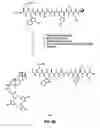 Fig. 15 - Linkers For Radiopharmaceutical Compounds