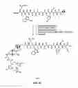 Fig. 16 - Linkers For Radiopharmaceutical Compounds
