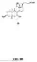 Fig. 17 - Linkers For Radiopharmaceutical Compounds