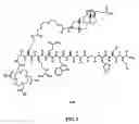 Fig. 22 - Linkers For Radiopharmaceutical Compounds