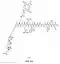 Fig. 23 - Linkers For Radiopharmaceutical Compounds