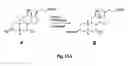 Fig. 29 - Linkers For Radiopharmaceutical Compounds