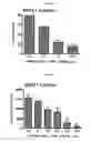 Fig. 03 - Highly selective sigma receptor radioligands