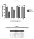 Fig. 07 - Highly selective sigma receptor radioligands