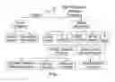Fig. 02 - Methods for treating bone disorders by characterizing and restoring mammalian bacterial microbiota