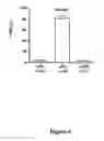 Fig. 05 - Methods and kits for detecting misfolded proteins
