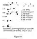 Fig. 19 - Methods and kits for detecting misfolded proteins