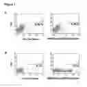 Fig. 02 - HER2/NEU SPECIFIC T CELL RECEPTORS