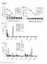 Fig. 05 - HER2/NEU SPECIFIC T CELL RECEPTORS
