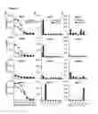Fig. 06 - HER2/NEU SPECIFIC T CELL RECEPTORS