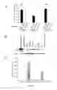 Fig. 04 - Methods and compositions for tumor vaccination and therapy