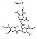 Fig. 08 - MATRIX METALLOPROTEINASE INHIBITOR